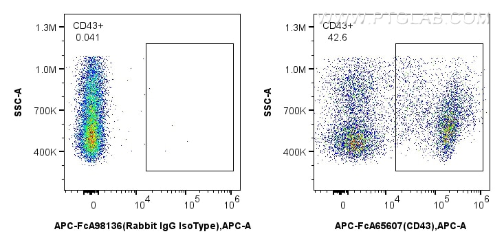 Flow cytometry (FC) experiment of rat splenocytes cells using FcZero-rAb™ APC Anti-Rat CD43 (W3/13) Rabbit IgG R (APC-FcA65607)
