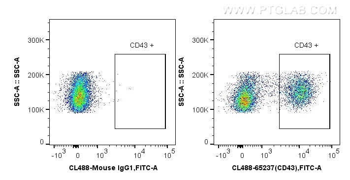Flow cytometry (FC) experiment of wistar rat splenocytes using CoraLite® Plus 488 Anti-Rat CD43 (W3/13) (CL488-65237)