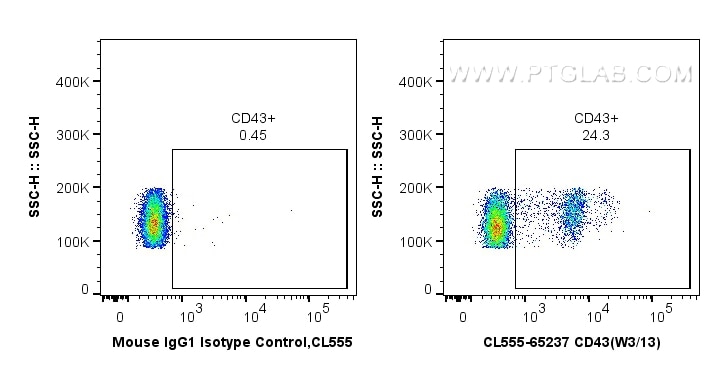 Flow cytometry (FC) experiment of rat splenocytes cells using CoraLite® Plus 555 Anti-Rat CD43 (W3/13) (CL555-65237)