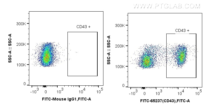 Flow cytometry (FC) experiment of wistar rat splenocytes using FITC Plus Anti-Rat CD43 (W3/13) (FITC-65237)
