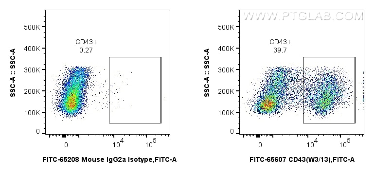 1x10^6 rat splenocytes were surface stained with 0.25 ug FITC Plus Anti-Rat CD43 (W3/13) Mouse IgG2a RecAb (FITC-65607, Clone: W3/13) or FITC Plus Mouse IgG2a Isotype Control (C1.18.4) (FITC-65208, Clone: C1.18.4). Cells were not fixed. Flow cytometry (FC) experiment of rat splenocytes cells using FITC Plus Anti-Rat CD43 (W3/13) Mouse IgG2a Recomb (FITC-65607)