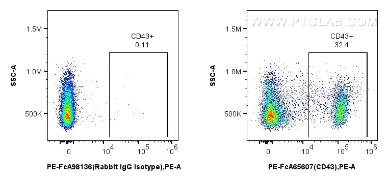 Flow cytometry (FC) experiment of rat splenocytes cells using FcZero-rAb™ PE Anti-Rat CD43 (W3/13) Rabbit Recomb (PE-FcA65607)