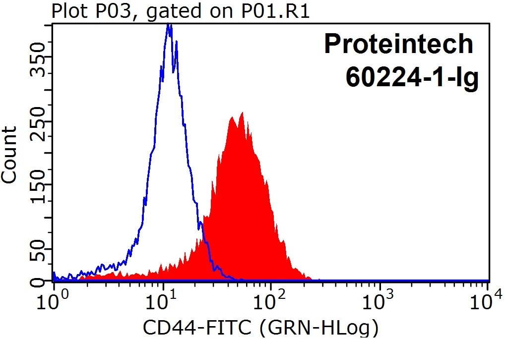 FC experiment of Raji using 60224-1-Ig