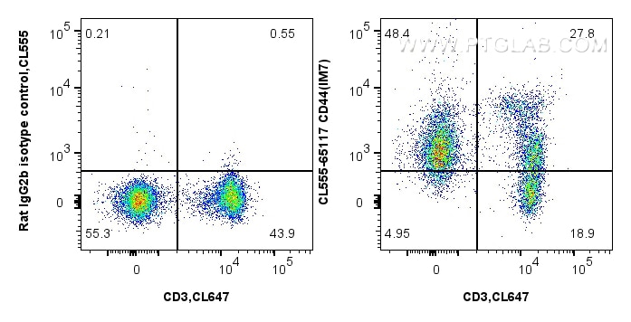 FC experiment of mouse splenocytes using CL555-65117