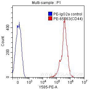 CD44