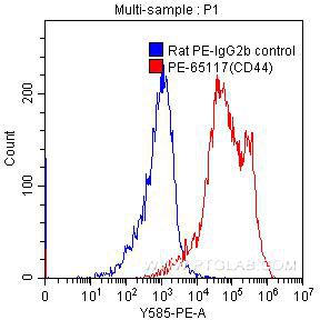 CD44