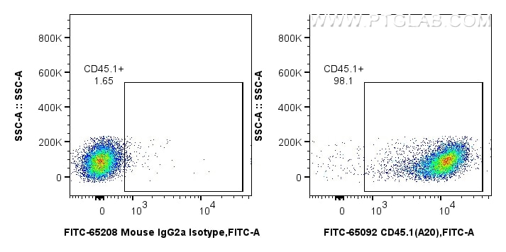 Flow cytometry (FC) experiment of SJL mouse splenocytes using FITC Anti-Mouse CD45.1 (A20) (FITC-65092)
