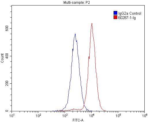 CD45 Monoclonal antibody