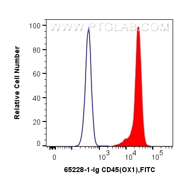 Flow cytometry (FC) experiment of wistar rat splenocytes using Anti-Rat CD45 (OX1) (65228-1-Ig)