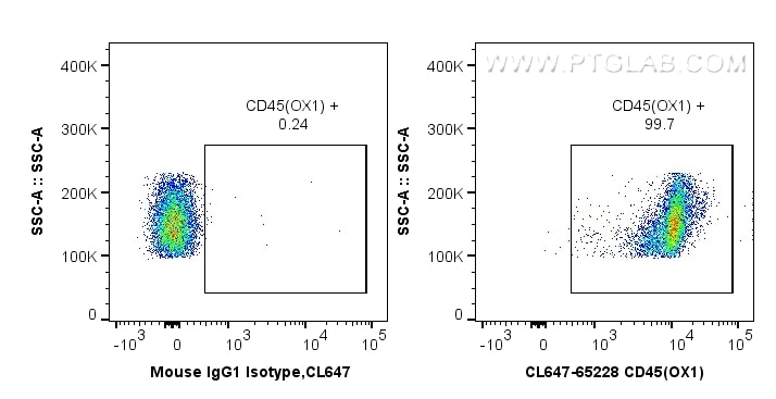 Flow cytometry (FC) experiment of wistar rat splenocytes using CoraLite® Plus 647 Anti-Rat CD45 (OX1) (CL647-65228)