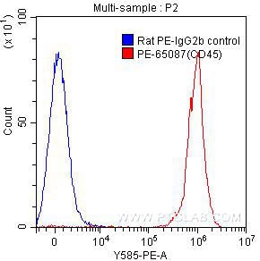 Flow cytometry (FC) experiment of mouse splenocytes using PE Anti-Mouse CD45 (30-F11) (PE-65087)