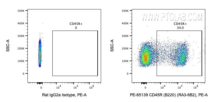 Flow cytometry (FC) experiment of human PBMCs using PE Anti-Mouse CD45R (B220) (RA3-6B2) (PE-65139)