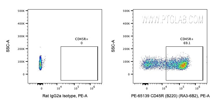 Flow cytometry (FC) experiment of mouse splenocytes using PE Anti-Mouse CD45R (B220) (RA3-6B2) (PE-65139)