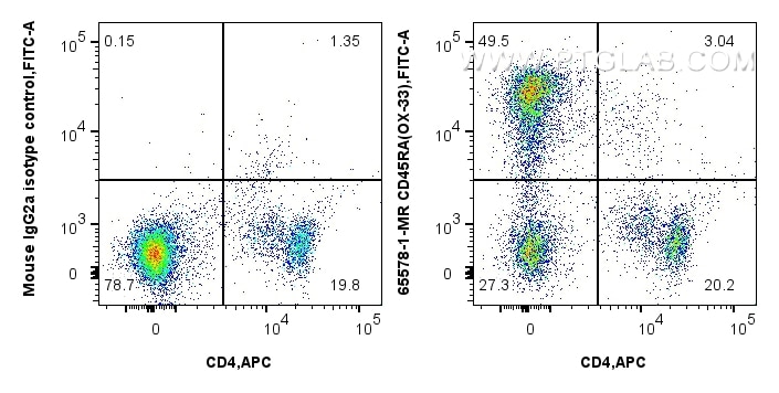 Flow cytometry (FC) experiment of rat splenocytes cells using Anti-Rat CD45RA (OX-33) Mouse IgG2a Recombinant An (65578-1-MR)