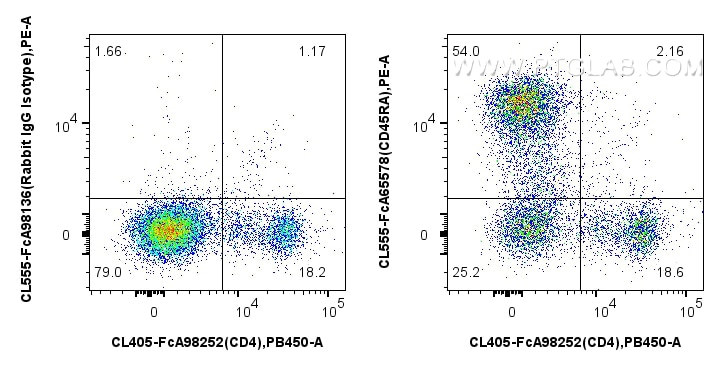 Flow cytometry (FC) experiment of rat splenocytes cells using FcZero-rAb® CoraLite®555 Anti-Rat CD45RA (OX-33) R (CL555-FcA65578)