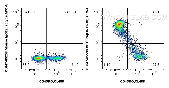CL647-65590