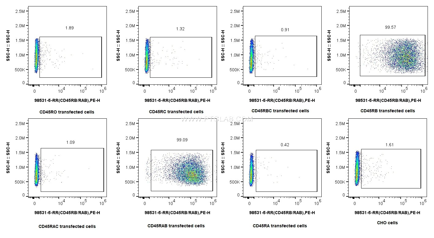 Flow cytometry (FC) experiment of Transfected CHO using Anti-Human CD45RB/RAB Rabbit Recombinant Antibody (98531-5-RR)