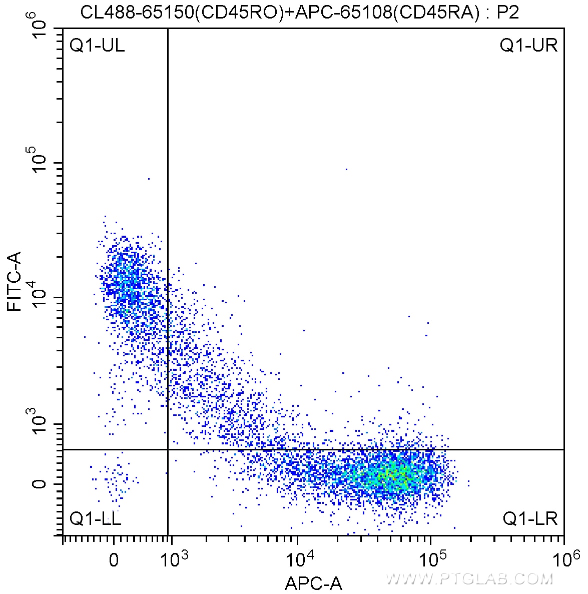 CD45RO