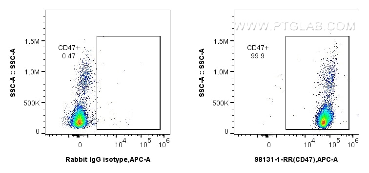 Flow cytometry (FC) experiment of human PBMCs using Anti-Human CD47 Rabbit Recombinant Antibody (98131-1-RR)