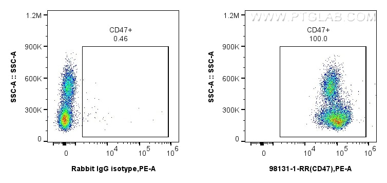 Flow cytometry (FC) experiment of human PBMCs using Anti-Human CD47 Rabbit Recombinant Antibody (98131-1-RR)