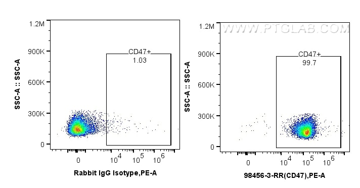1x10^6 mouse splenocytes were surface stained with 0.25 ug Anti-Mouse CD47 Rabbit RecAb (98456-3-RR, Clone:242850C4) or 0.25 ug Rabbit IgG Isotype Control RecAb (98136-1-RR, Clone: 240953C9), and PE-Conjugated Goat Anti-Rabbit IgG(H+L). Cells were not fixed. This data was developed using the same antibody clone with 98456-3-PBS in a different storage buffer formulation. Flow cytometry (FC) experiment of mouse splenocytes using Anti-Mouse CD47 Rabbit Recombinant Antibody (98456-3-RR)