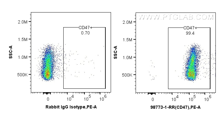 Flow cytometry (FC) experiment of rat splenocytes cells using Anti-Rat CD47 Rabbit Recombinant Antibody (98773-1-RR)