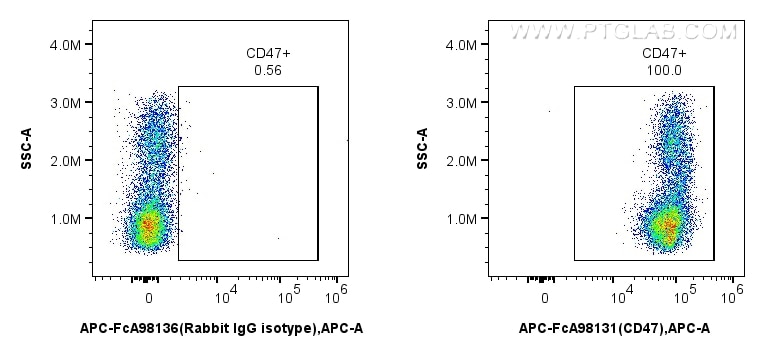 CD47