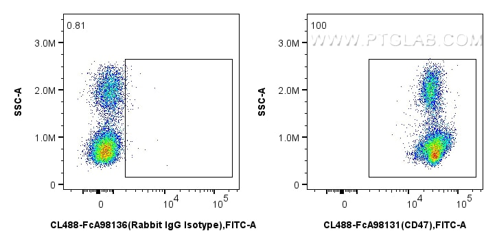 FC experiment of human PBMCs using CL488-FcA98131 Flow cytometry (FC) experiment of human PBMCs using FcZero-rAb® CoraLite® Plus 488 Anti-Human CD47 Rab (CL488-FcA98131)
