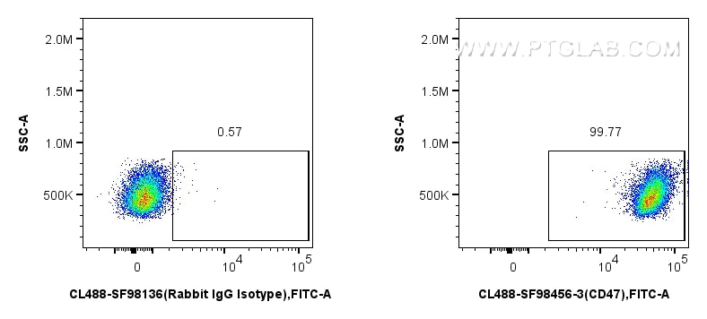 FC experiment of mouse splenocytes using CL488-SF98456-3 Flow cytometry (FC) experiment of mouse splenocytes using CoraLite® Plus 488 Anti-Mouse CD47 Rabbit scFv Ant (CL488-SF98456-3)