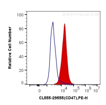 Flow cytometry (FC) experiment of HUVEC cells using CoraLite®555-conjugated CD47 Polyclonal antibody (CL555-29555)