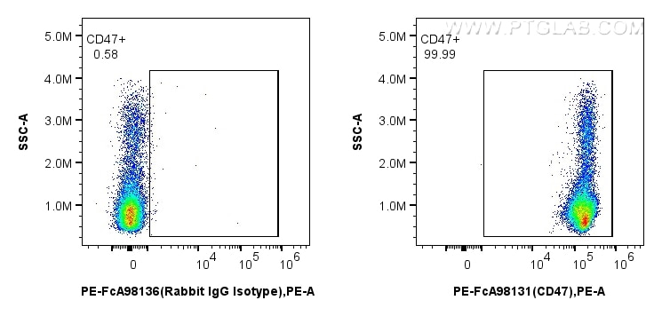 Flow cytometry (FC) experiment of human PBMCs using FcZero-rAb™ PE Anti-Human CD47 Rabbit Recombinant  (PE-FcA98131)