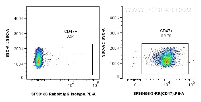 FC experiment of mouse splenocytes using SF98456-3-RR Flow cytometry (FC) experiment of mouse splenocytes using Anti-Mouse CD47 Rabbit scFv Antibody (SF98456-3-RR)