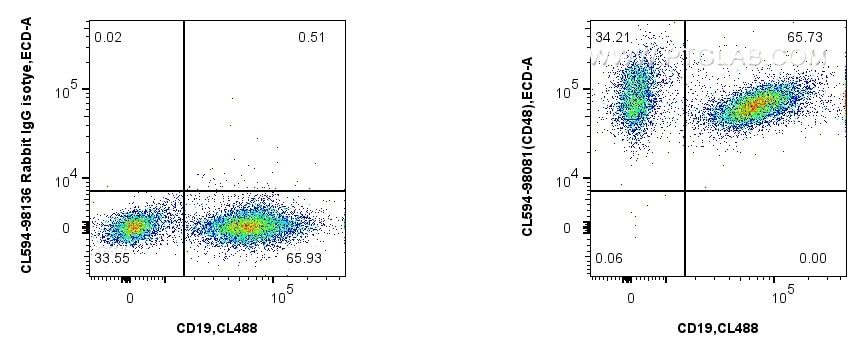 1x10^6 mouse splenocytes were surface stained with CoraLite® Plus 488 Anti-Mouse CD19 (1D3) (CL488-65290, Clone: 1D3), and 0.25 ug CoraLite®594 Anti-Mouse CD48 Rabbit RecAb (CL594-98081, Clone: 240732A5) or CoraLite®594 Rabbit IgG Isotype Control RecAb (CL594-98136, Clone: 240953C9). Cells were not fixed. Flow cytometry (FC) experiment of mouse splenocytes using CoraLite®594 Anti-Mouse CD48 Rabbit Recombinant An (CL594-98081)