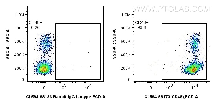 FC experiment of human PBMCs using CL594-98170 Flow cytometry (FC) experiment of human PBMCs using CoraLite®594 Anti-Human CD48 Rabbit Recombinant An (CL594-98170)