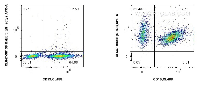 1x10^6 mouse splenocytes were surface stained with CoraLite® Plus 488 Anti-Mouse CD19 (1D3) (CL488-65290, Clone: 1D3), and 0.25 ug CoraLite® Plus 647 Anti-Mouse CD48 Rabbit RecAb (CL647-98081, Clone: 240732A5) or CoraLite® Plus 647 Rabbit IgG Isotype Control RecAb (CL647-98136, Clone: 240953C9). Cells were not fixed. Flow cytometry (FC) experiment of mouse splenocytes using CoraLite® Plus 647 Anti-Mouse CD48 Rabbit Recombin (CL647-98081)