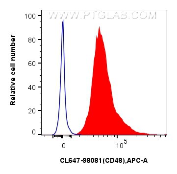 1x10^6 mouse splenocytes were surface stained with 0.25 ug CoraLite® Plus 647 Anti-Mouse CD48 Rabbit RecAb (CL647-98081, Clone: 240732A5)(red) or CoraLite® Plus 647 Rabbit IgG Isotype Control RecAb (CL647-98136, Clone: 240953C9) (blue). Cells were not fixed. Flow cytometry (FC) experiment of mouse splenocytes using CoraLite® Plus 647 Anti-Mouse CD48 Rabbit Recombin (CL647-98081)