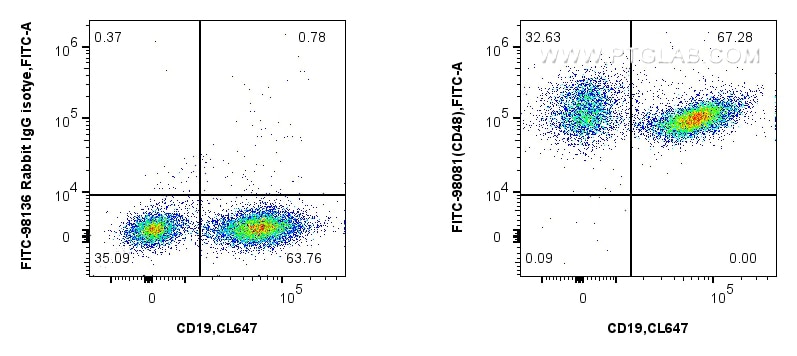 1x10^6 mouse splenocytes were surface stained with CoraLite® Plus 647 Anti-Mouse CD19 (1D3) (CL647-65290, Clone: 1D3), and 0.25 ug FITC Plus Anti-Mouse CD48 Rabbit RecAb (FITC-98081, Clone: 240732A5) or FITC Plus Rabbit IgG Isotype Control RecAb (FITC-98136, Clone: 240953C9). Cells were not fixed. Flow cytometry (FC) experiment of mouse splenocytes using FITC Plus Anti-Mouse CD48 Rabbit Recombinant Antib (FITC-98081)