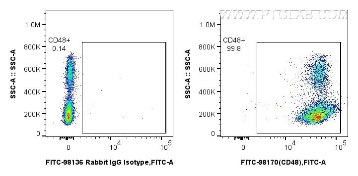 FC experiment of human PBMCs using FITC-98170 Flow cytometry (FC) experiment of human PBMCs using FITC Plus Anti-Human CD48 Rabbit Recombinant Antib (FITC-98170)