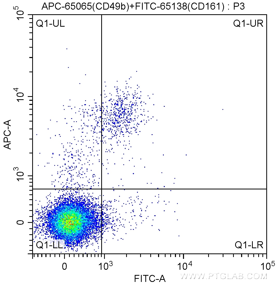 Flow cytometry (FC) experiment of mouse splenocytes using APC Anti-Mouse CD49b (DX5) (APC-65065)