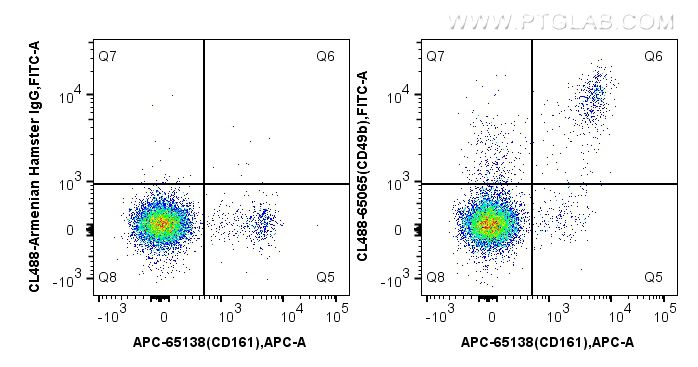 Flow cytometry (FC) experiment of mouse splenocytes using CoraLite® Plus 488 Anti-Mouse CD49b (DX5) (CL488-65065)
