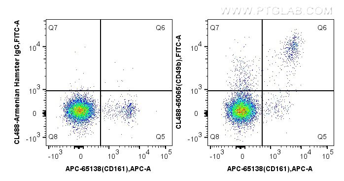 FC experiment of mouse splenocytes using CL488-65065