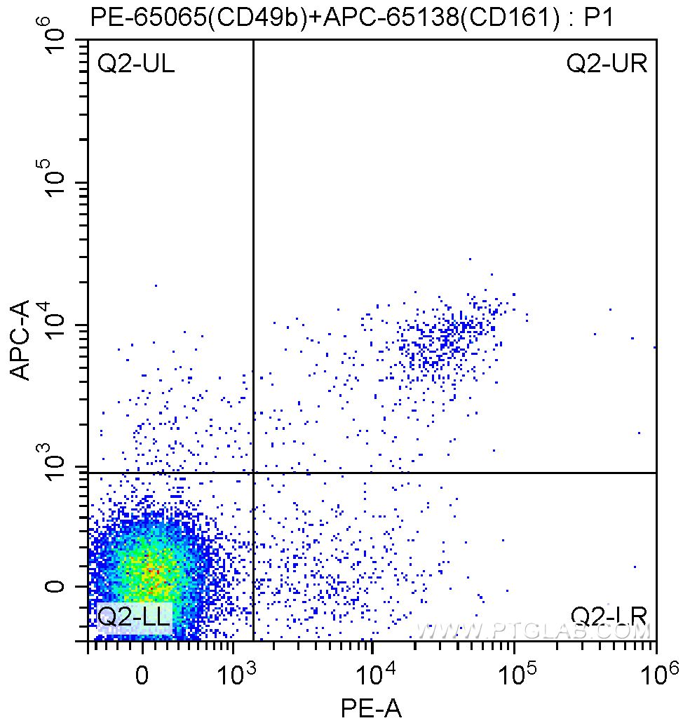 Flow cytometry (FC) experiment of mouse splenocytes using PE Anti-Mouse CD49b (DX5) (PE-65065)