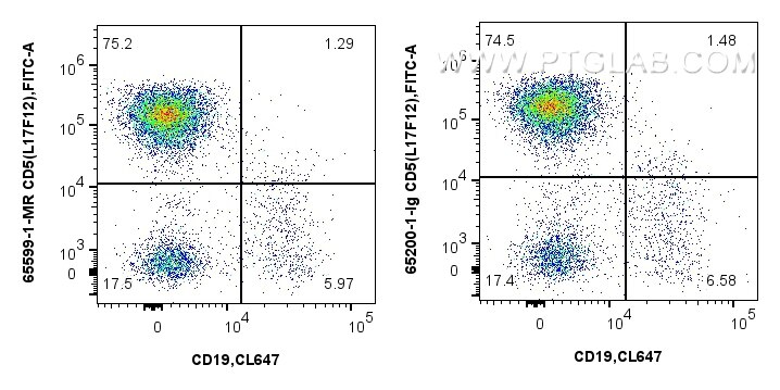 CD5