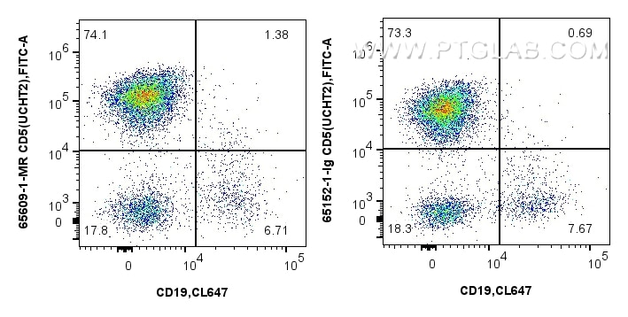 CD5