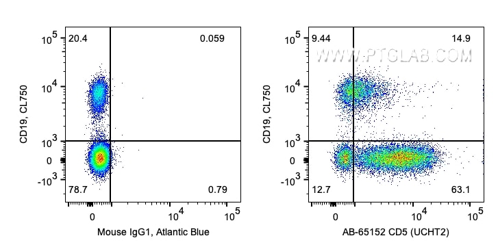 Flow cytometry (FC) experiment of human PBMCs using Atlantic Blue™ Anti-Human CD5 (UCHT2) (AB-65152)