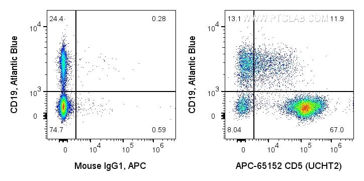 Flow cytometry (FC) experiment of human PBMCs using APC Anti-Human CD5 (UCHT2) (APC-65152)