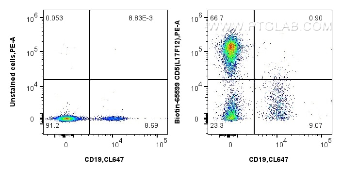 1x10^6 human PBMCs were surface stained with CoraLite® Plus 647 Anti-Human CD19, 0.25 ug Biotin Anti-Human CD5 (L17F12) Mouse IgG2a RecAb (Biotin-65599, Clone: L17F12) or unstained, and Streptavidin-PE Conjugate (PE-PF00030). Cells were not fixed. Flow cytometry (FC) experiment of human PBMCs using Biotin Anti-Human CD5 (L17F12) Mouse IgG2a Recombi (Biotin-65599)