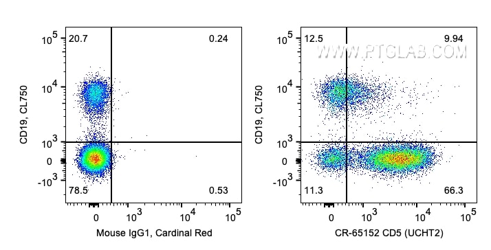 Flow cytometry (FC) experiment of human PBMCs using Cardinal Red™ Anti-Human CD5 (UCHT2) (CR-65152)