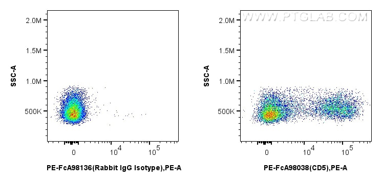 Flow cytometry (FC) experiment of mouse splenocytes using FcZero-rAb™ PE Anti-Mouse CD5 Rabbit Recombinant A (PE-FcA98038)