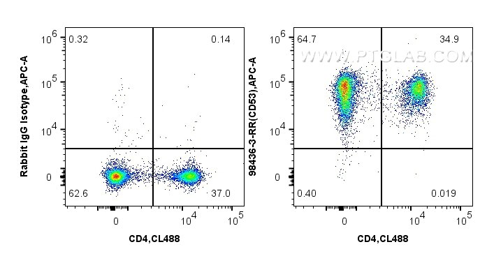 Flow cytometry (FC) experiment of mouse splenocytes using Anti-Mouse CD53 Rabbit Recombinant Antibody (98436-3-RR)